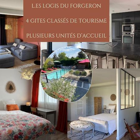 Les Logis Du Forgeron, Gites De Groupe Entre Loire & Vignes Saint-Jean-des-Mauvrets Bagian luar foto